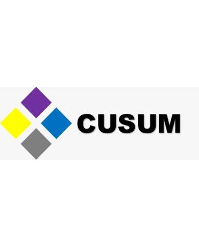Cojin Personalizado